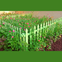 Greetings From Dragonfly Cottage, Monday, July 22, 2013