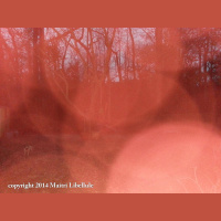 New Years Day Podcast From Dragonfly Cottage * January 1, 2014