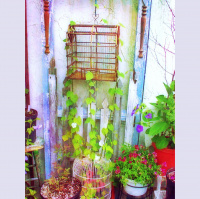 Sundays at Dragonfly Cottage * September 22, 2013