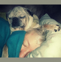 Monday at Dragonfly Cottage * October 21, 2013