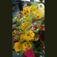 Wabi Sabi Woman - I made it out to Sams and look what I bought! 2/11/17