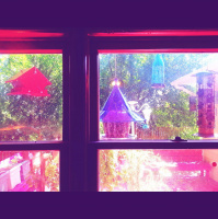 Sunday Nights at Dragonfly Cottage * September 8, 2013