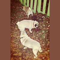 Mindful Moments At Dragonfly Cottage * January 22, 2014