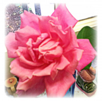 Greetings From Dragonfly Cottage, Monday, Memorial Day, May 27, 2013