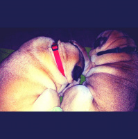 Greetings From Dragonfly Cottage, April 24, 2013