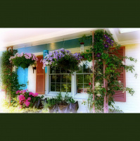 Greetings From Dragonfly Cottage, May 16, 2013