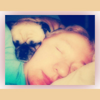 Mindful Moments at Dragonfly Cottage * January 26, 2014