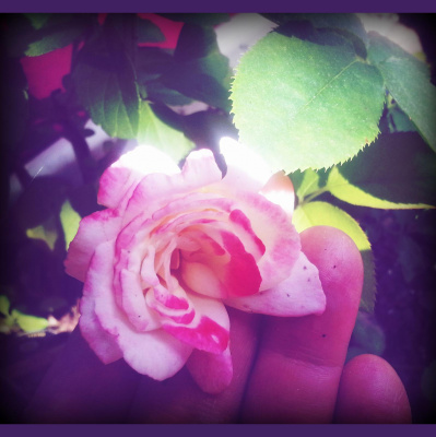 Wabi Sabi Womans Posts