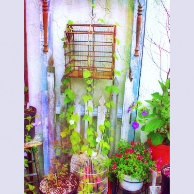 Wabi Sabi Womans Posts