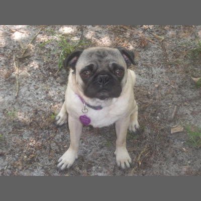 Wabi Sabi Womans Posts