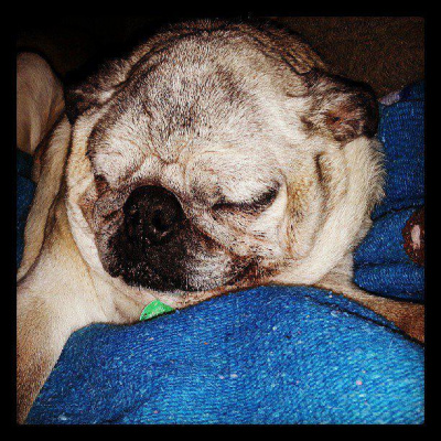 Wabi Sabi Womans Posts