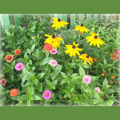 Wabi Sabi Womans Posts