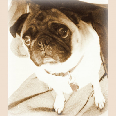 Wabi Sabi Womans Posts