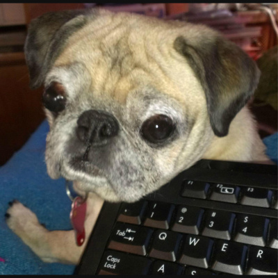 Wabi Sabi Womans Posts