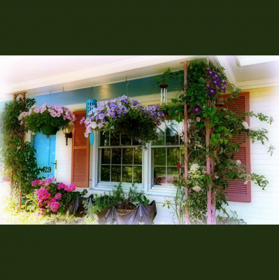 Wabi Sabi Womans Posts