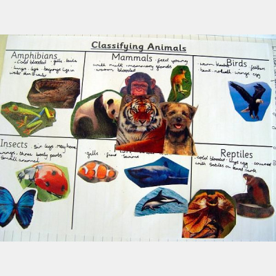 Michael Faradays Posts