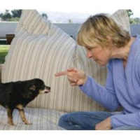 Animal Communication with #1 Pet Psychic Karen Anderson
