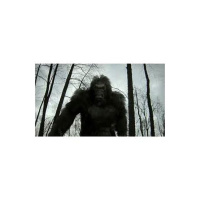 Bigfoot and Their Interdimensional Connection with guests Kewaunee and Kelly