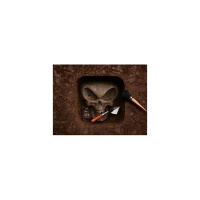 Forbidden Archaeology  Human Devolution: We have been deceived!