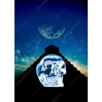 Crystal Skulls~ What are they saying about our future? with Joshua Shapiro