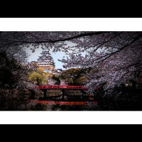 Ghost Stories with Haunts of Richmond presents Haunted Japan