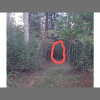 VTG presents Whats In The Red Circle followed by the Freaks