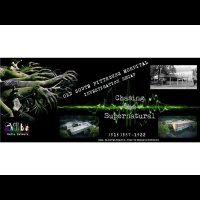 Rev Radio- Lilith Dorsey M.A and CTS- Investigation Recap from OSPH