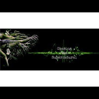 Rev.Payshence-  Chasing the Supernatural- RiverBend Paranormal