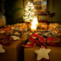 Merry Christmas From Discovery