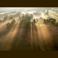 “Church: Lessons on Being Human” by Rev. Kayla Parker