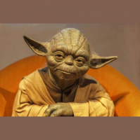 The Force Is With Us