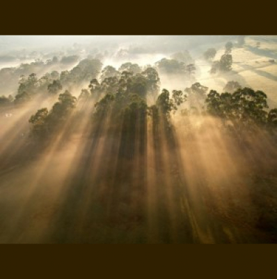 All Souls Indianapolis