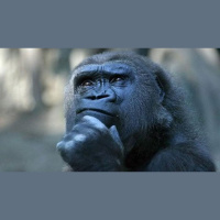 Esoterismo: quale divulgazione possibile? Che senso ha veramente?