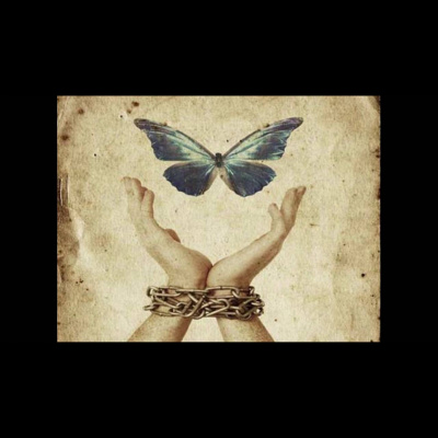 Carlo Dorofatti Risponde