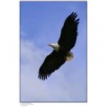 Principles Of Sovereignty