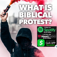 Ep 167 Biblical Advocacy and Protest? How Daniels Protest Served God Part 1