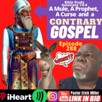 Episode 288 - So a Mule, A Prophet and Paul...