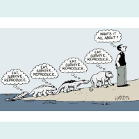 The Rock  Roll Shrink Ep. 83 - 2 Mins to Midnight (Terror Management Theory)