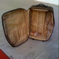 Robin Cooper apologises to Al Yankovic @alyankovic