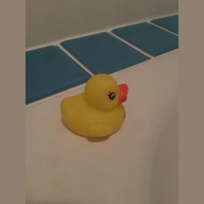 Robert Poppers Posts