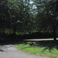 Please update your profileboo