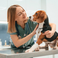 Long awaited return of ‘Ask the Vet’ with Dr. Jean Geske