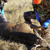 Steve Carney from The Game Fair