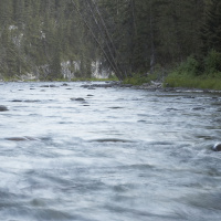 Steve Carney’s walleye hangover and where he is heading next?