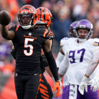 Taking the Wins and Losses in Minnesota Sports