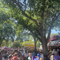 Riding the Momentum of a Pablo Win