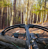 Weather is cooling down and the rain is coming - Steve Carney approves!