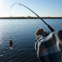 Recapping the 2024 Minnesota fishing opener with Steve Carney