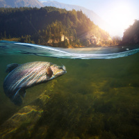 Spring weather means spring sports season !