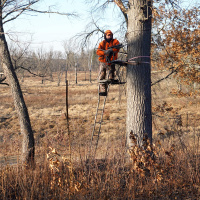 Have you ever had a deer blow at you?